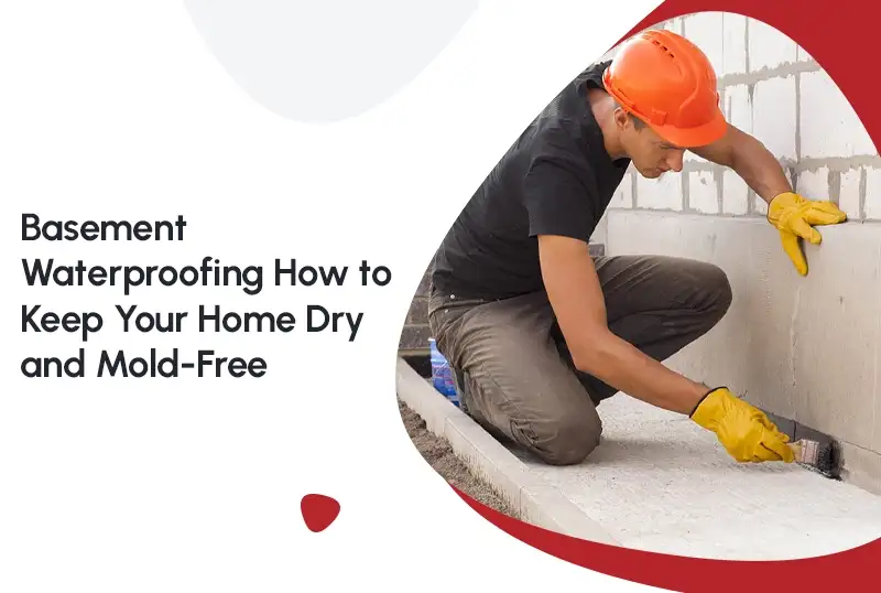 Basement Waterproofing: How to Keep Your Home Dry and Mold-Free — FNF Foundation Repair