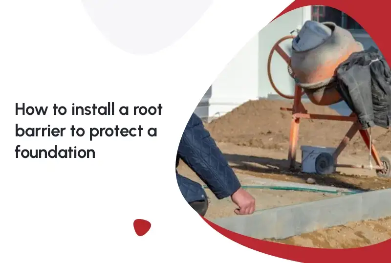 How to Install a Root Barrier to Protect a Foundation: A Complete Homeowner’s Guide — FNF Foundation Repair