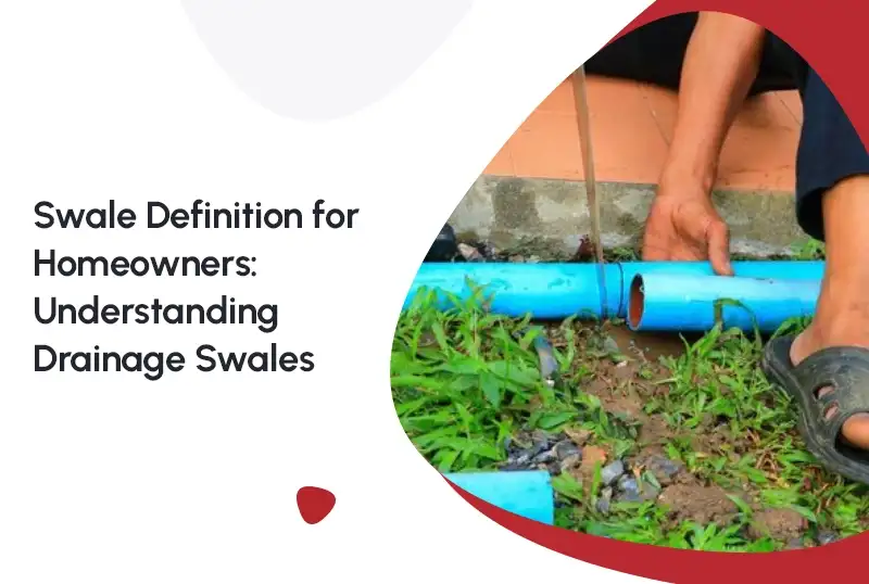 Swale Definition for Homeowners: Understanding Drainage Swales — FNF Foundation Repair