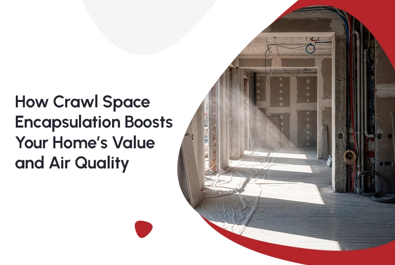 Crawl Space Encapsulation